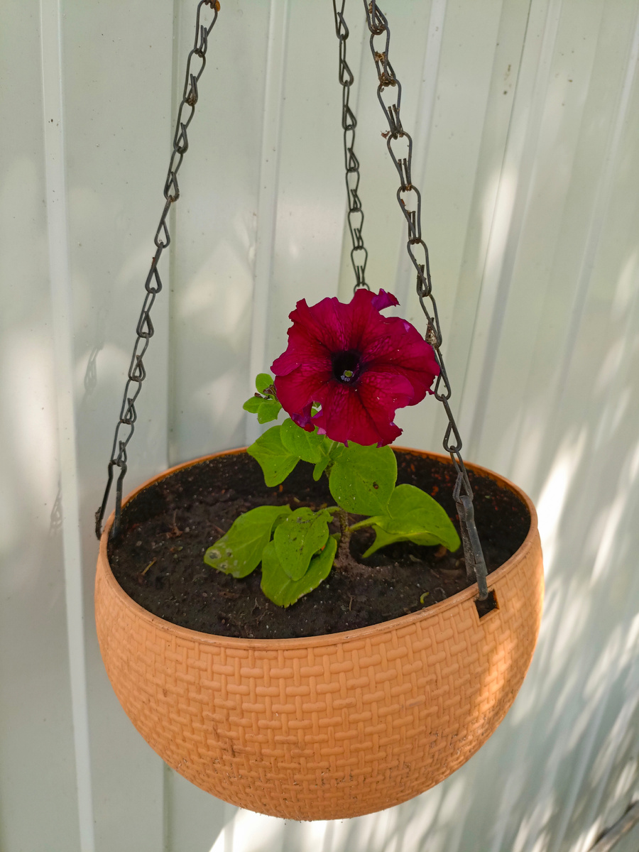 Фото автора.