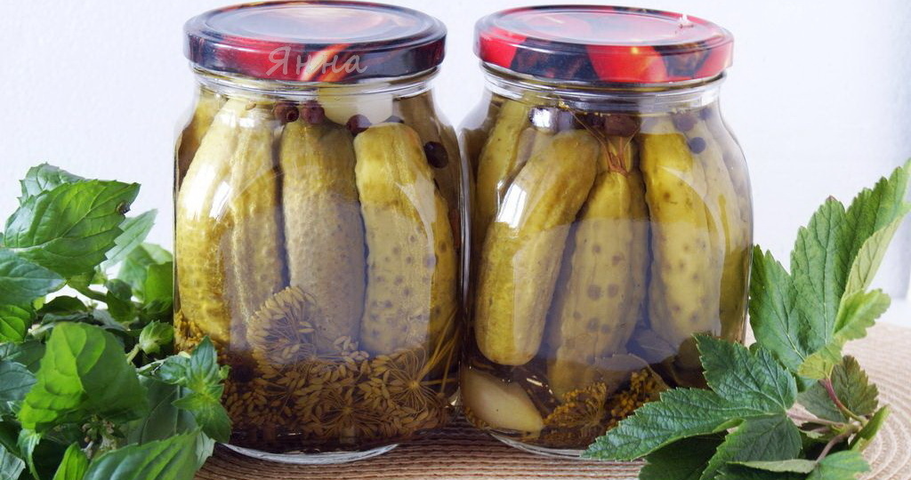 Маринованные огурцы