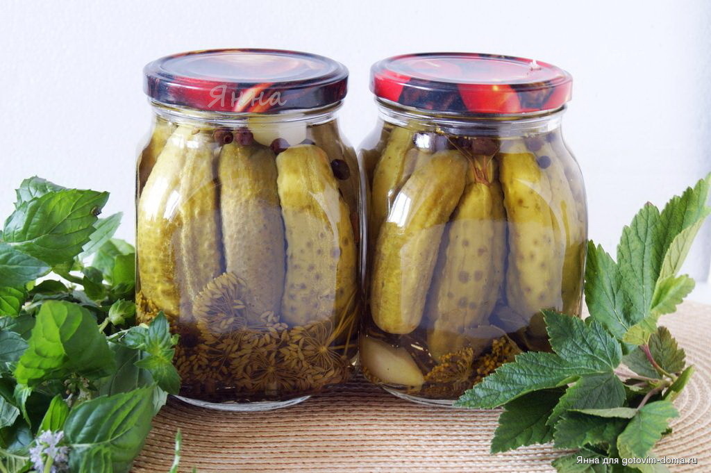 Фото автора. Маринованные огурцы.