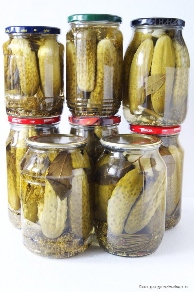 Фото автора. Маринованные огурцы.