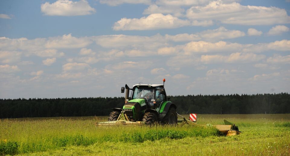    Медиасток.рф