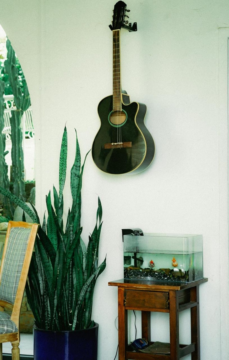 Фотограф: Thanh Nhan: https://www.pexels.com/ru-ru/photo/17751993/