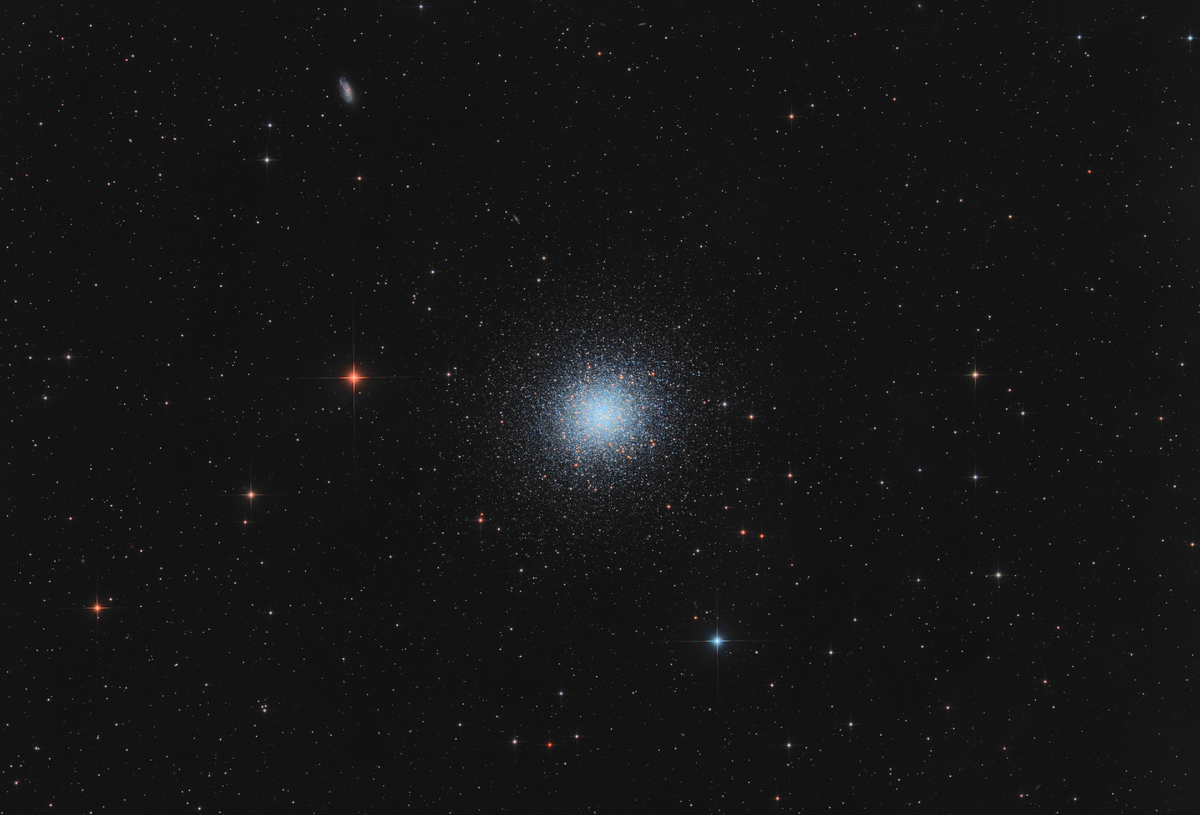 M 13 — шаровое звёздное скопление, расположенное в 25 тысячах световых лет от Солнца. Его диаметр составляет около 150 световых лет, хотя наиболее плотная его часть ограничена диаметром в 100 световых лет. Само скопление содержит не менее нескольких сотен тысяч звёзд, концентрация которых в центре скопления в сотни раз превышает таковую в окрестностях Солнца.
Скопление M 13 имеет видимую звёздную величину +5,8m, что делает его наблюдаемым невооружённым глазом при хороших условиях, а также одним из самых ярких шаровых скоплений. Его угловой диаметр составляет около 20 минут дуги, но наиболее яркая область ограничена диаметром в 13 минут.
M 13 легко обнаружить с помощью бинокля; при небольшом увеличении скопление выглядит как туманное пятно, более яркое в центре. При использовании более крупного телескопа, с диаметром объектива около 150 мм, становятся видны отдельные звёзды во внешних областях скопления и отчётливо наблюдается его сферическая форма.

Оборудование:
Монтировка: AGM-17, телескоп: SW150/750.
Камера Svbony sv405cc. MPCC Meyon 1,0x.
Фильтр: Antlia TriBand RGB 7nm
Выдержка: 208х180сек, 360х10сек = (11,5 часов), желая зона засветки.
Обработка в PixInsight.