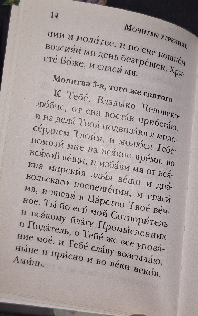 Фото автора.