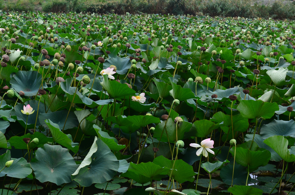 Источник: личный архив