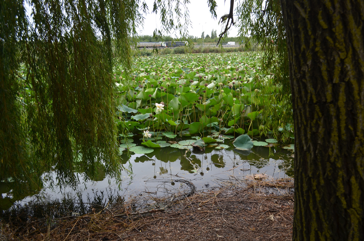 Источник: личный архив