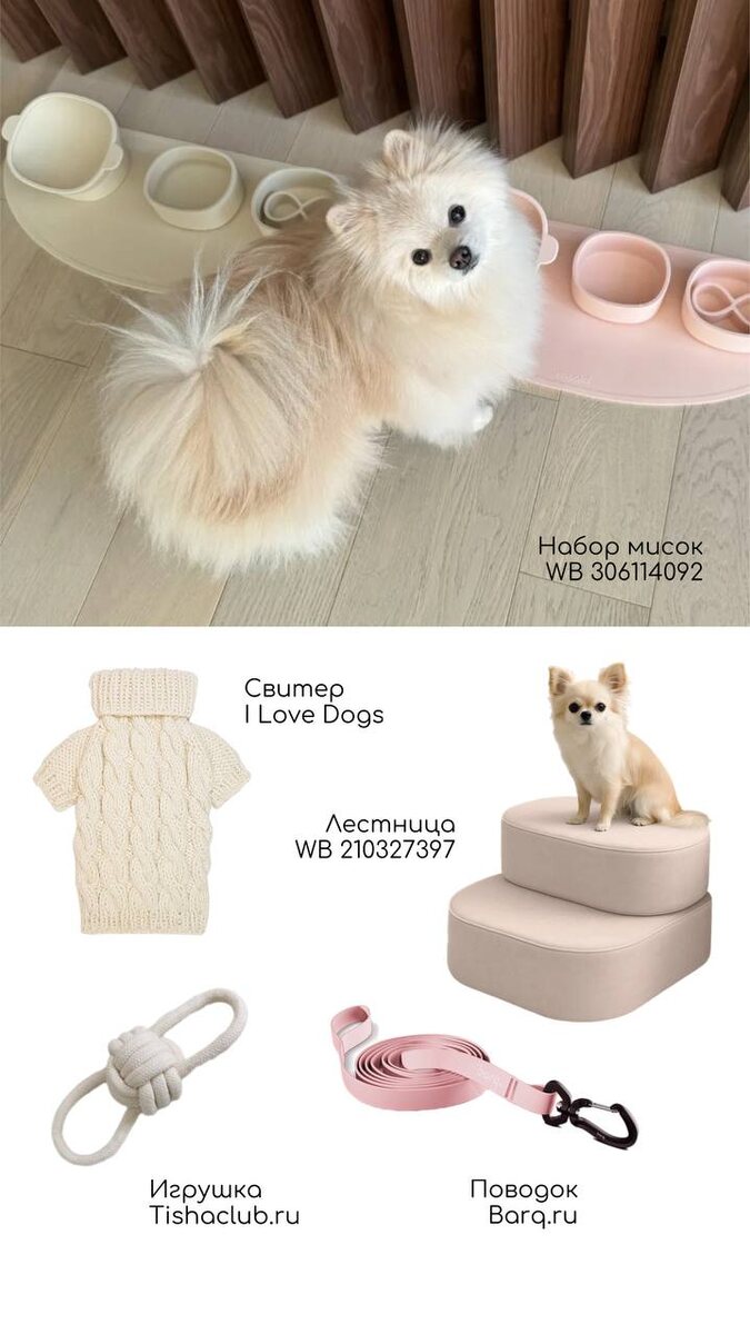 Пастельные тона: подборка аксессуаров для собак от российских производителей