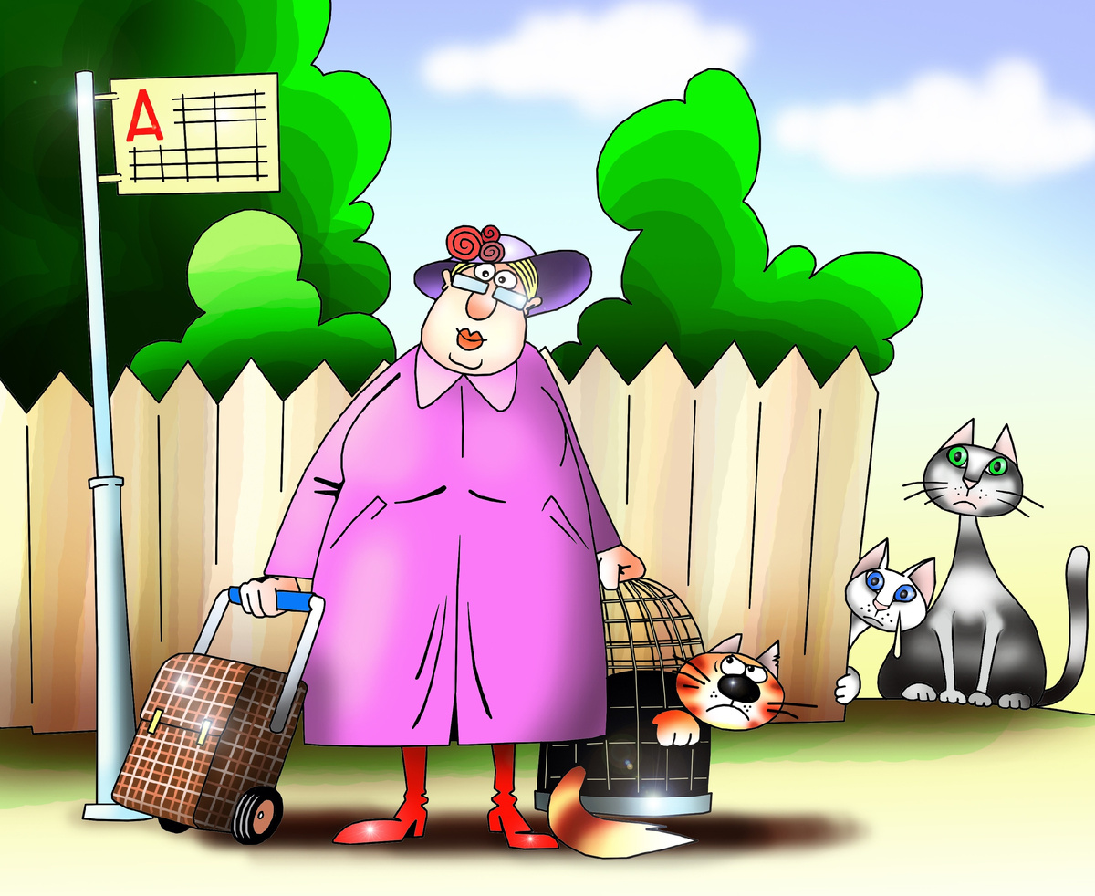 Автор: Сергей Корсун