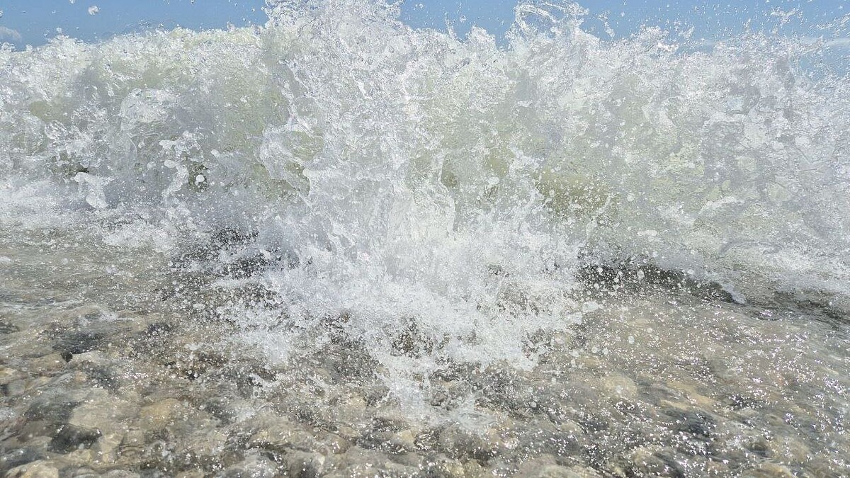    Фото: телеканал «Краснодар»