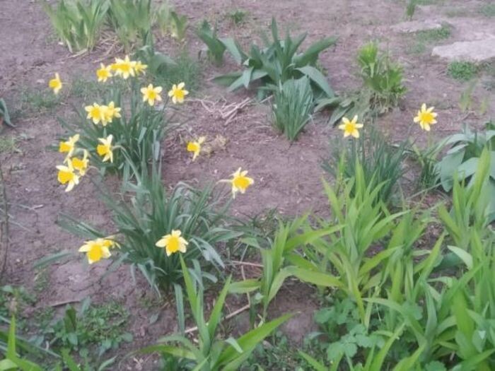 Источник фото: © «Панорама»