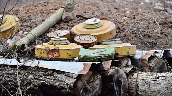    © РИА Новости . Алексей Куденко