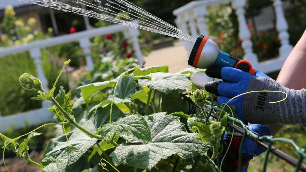    Nikolay Gyngazov/Globallookpress