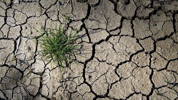    © РИА Новости Крым . Дмитрий Макеев