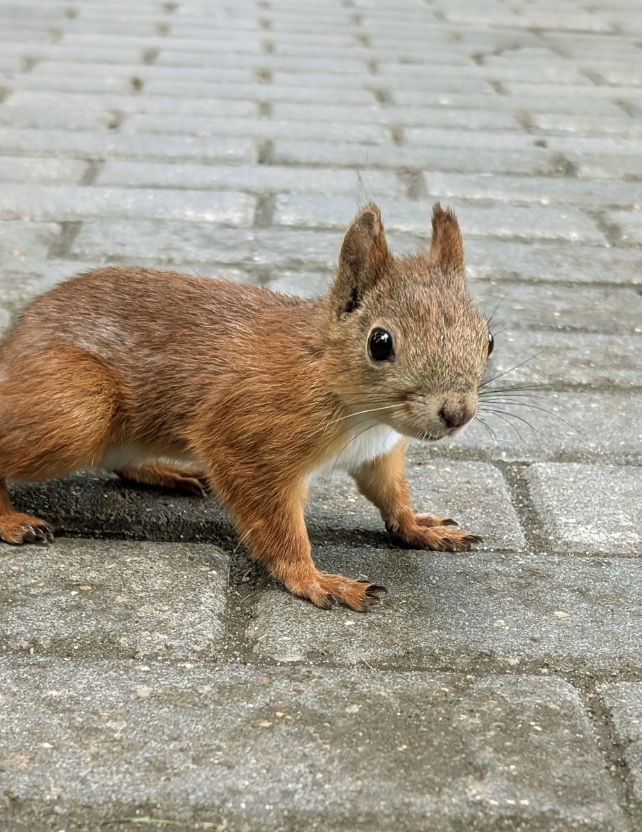 Фото автора 