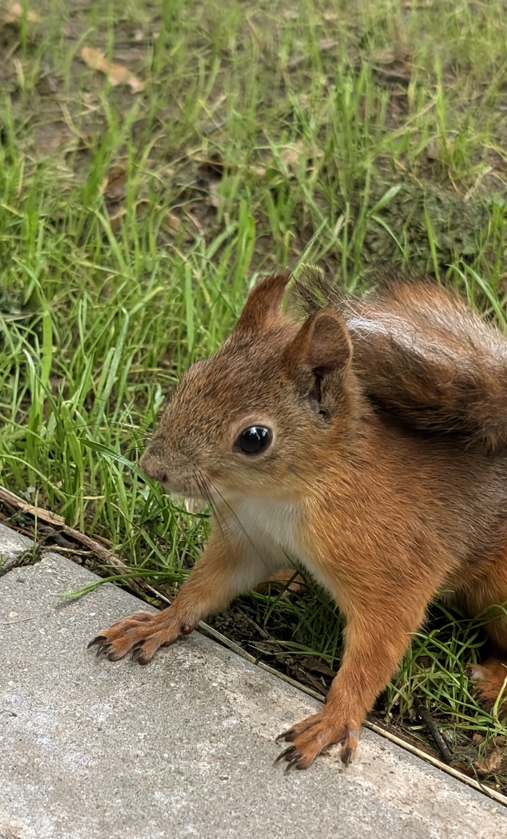 Фото автора 