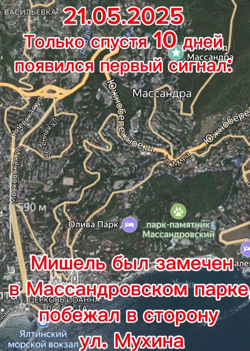 Интернет заполнили объявления о пропаже, надежда таяла... 