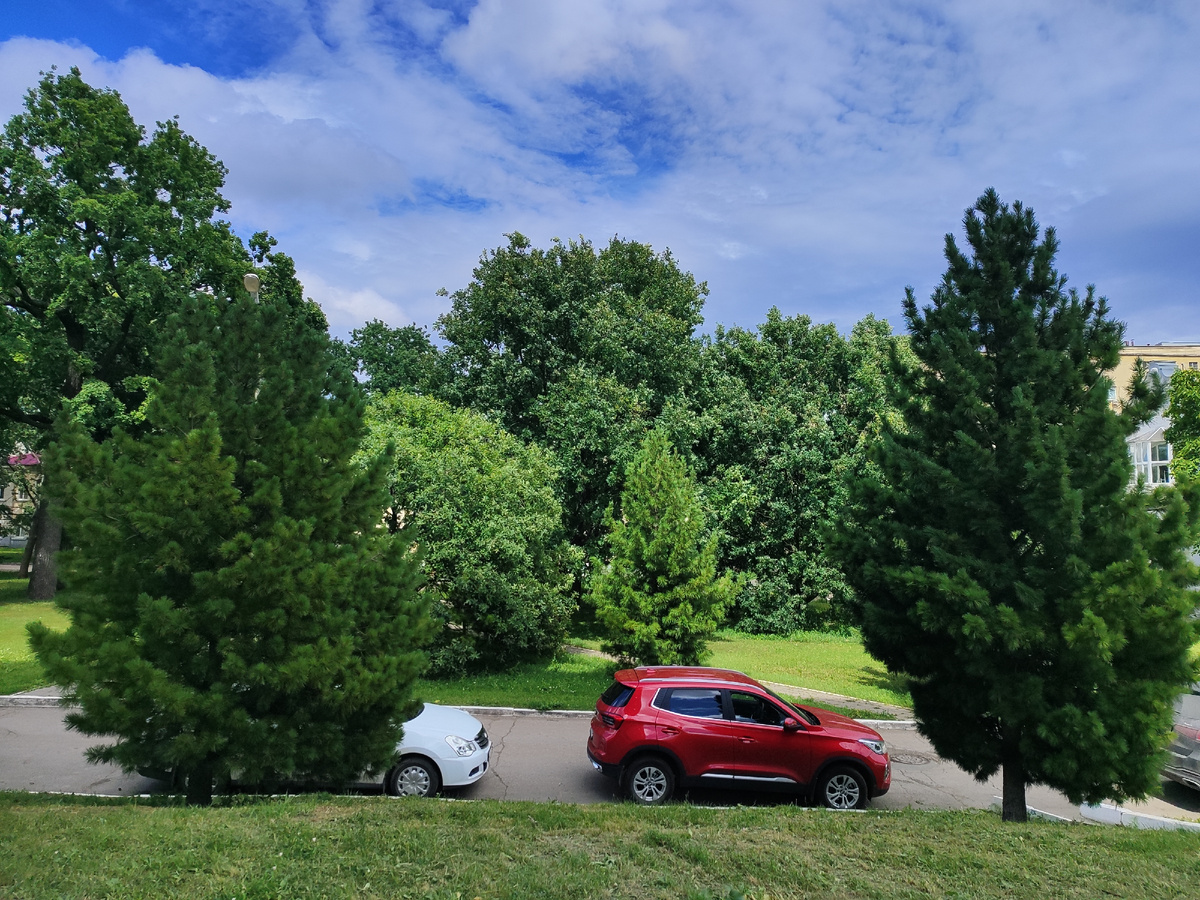 На территории больницы.