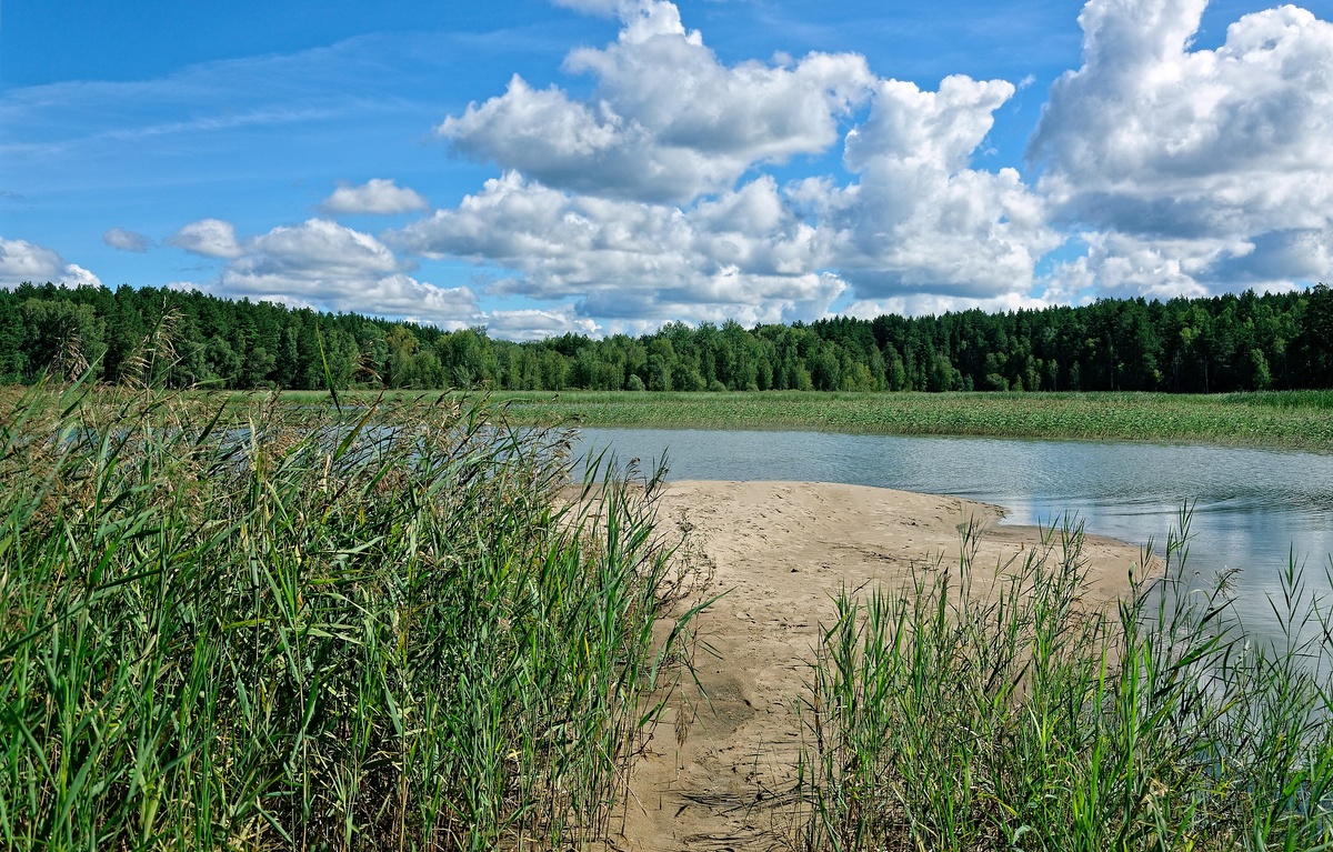 Наша речка Обь. Фото автора. 