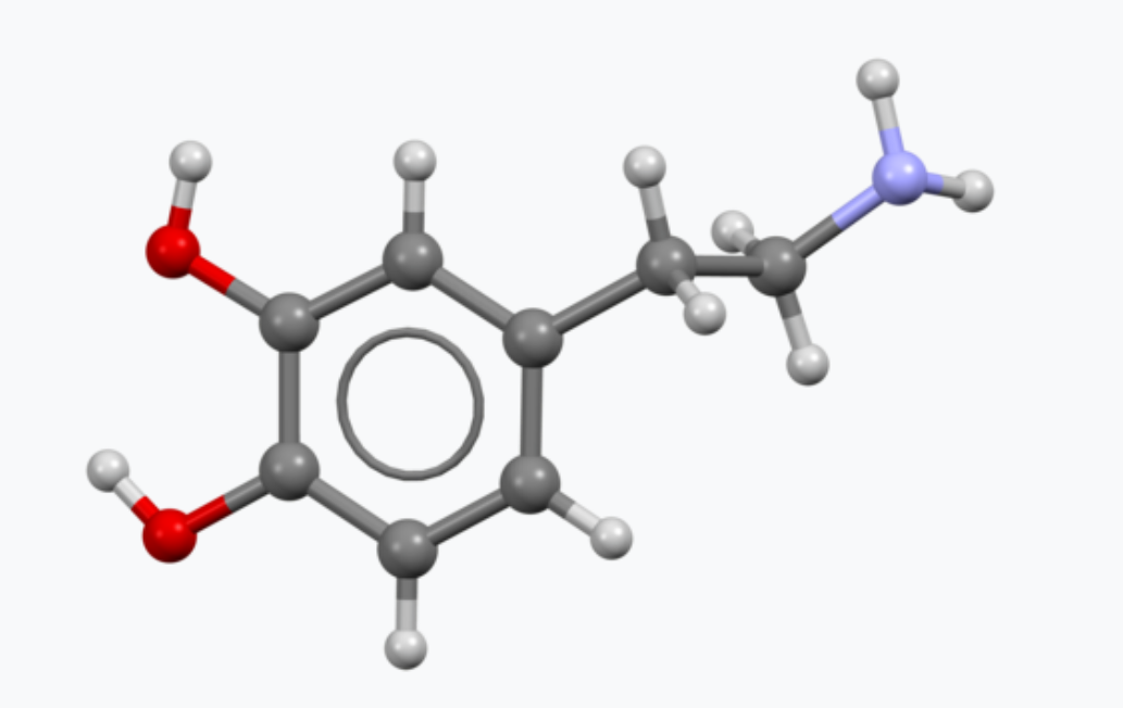 Изображение из открытых источников