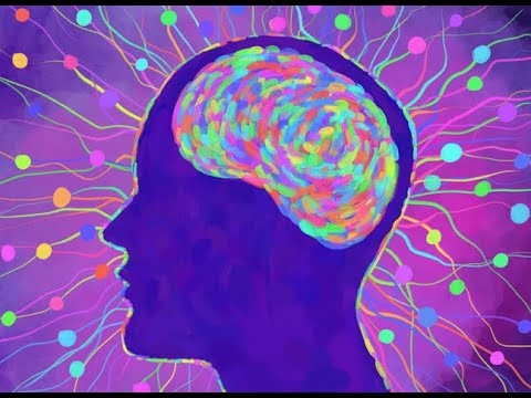 Фото из открытого источника Интернета