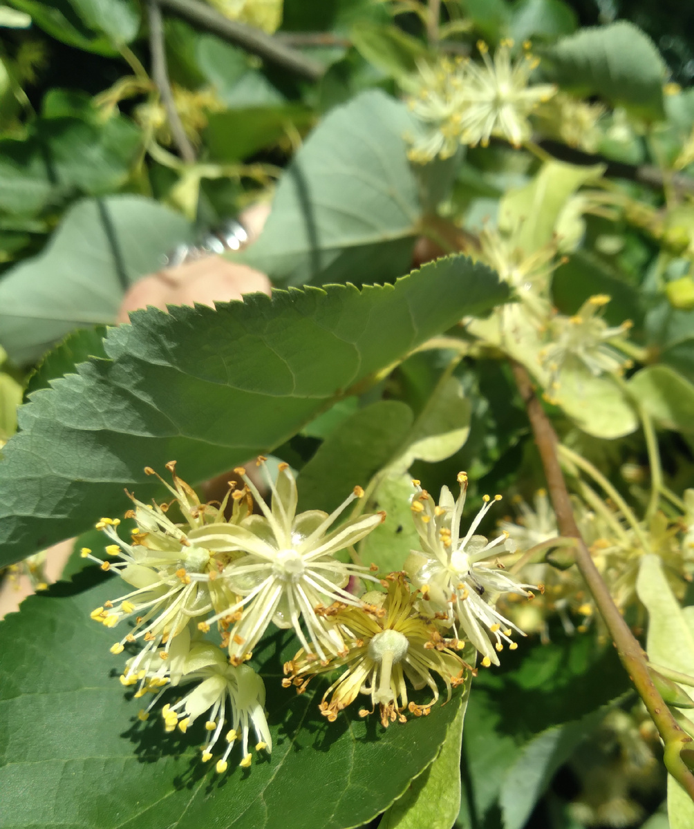 Любование и дышание.