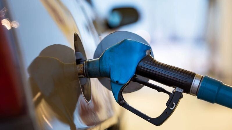    Фото: Юлия Чудинова / «Ямал-Медиа»