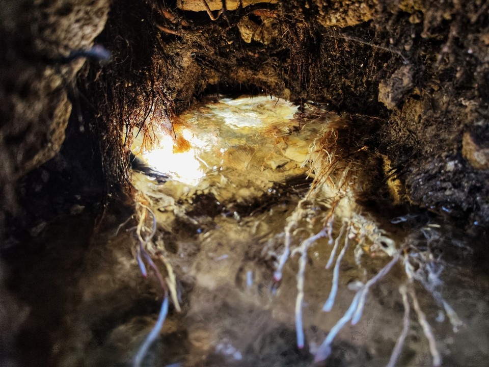    Ручей с кристально чистой водой в Мариуполе Александр ИВАНОВ