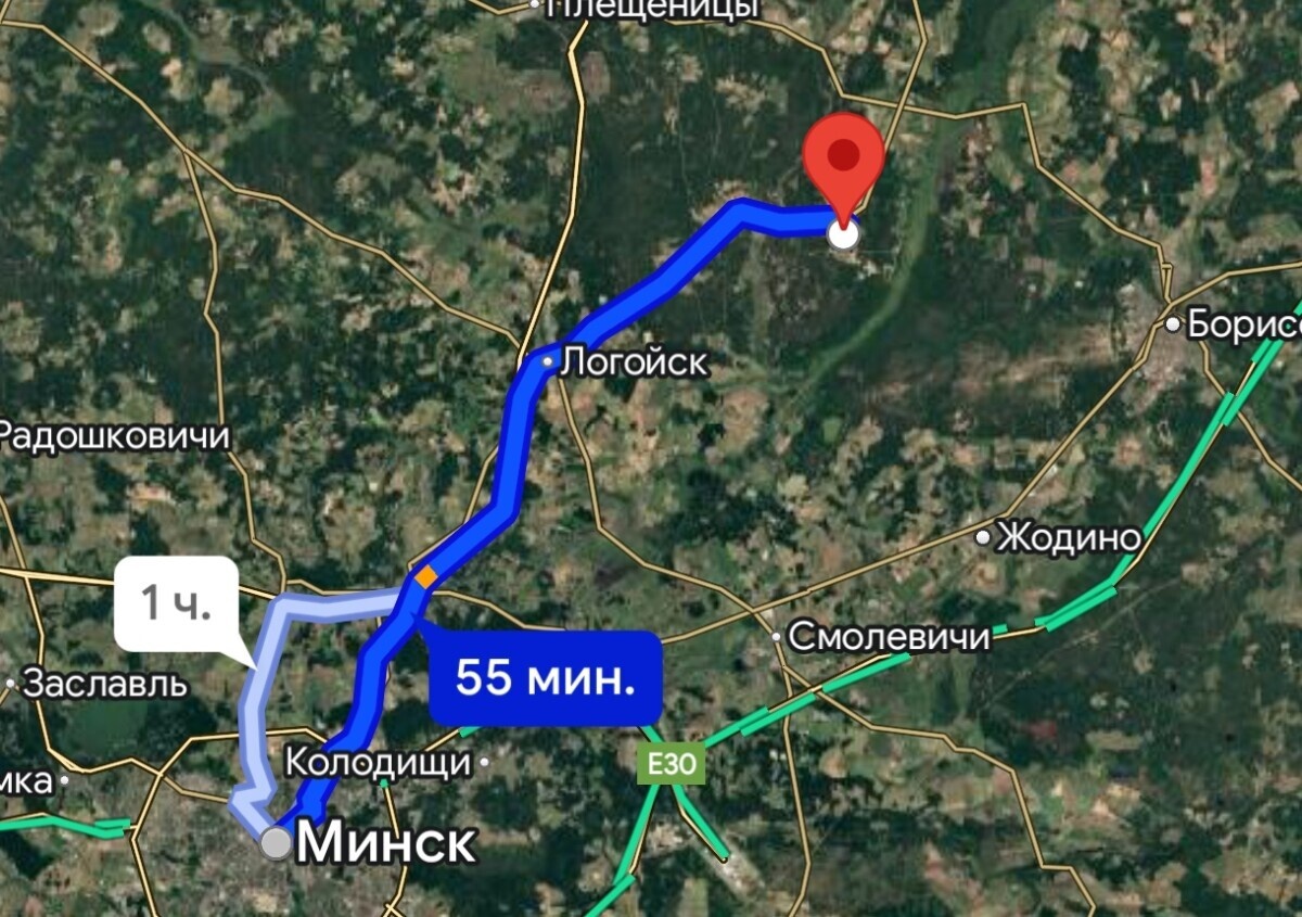 "Что-то лисичек не хочу" — В грибных лесах недалеко от Минска заметили медведя