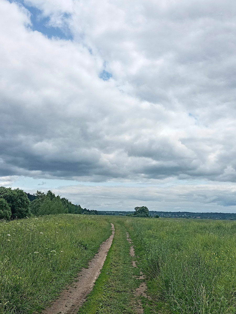 Луга в пойме Москва реки