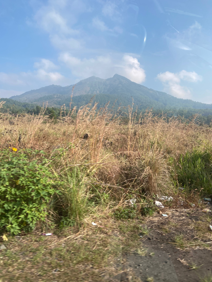 Вид издалека 