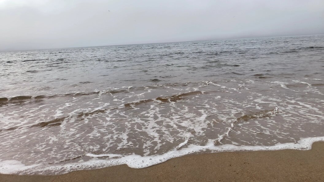    Фото: Maksim Konstantinov/Globallookpress