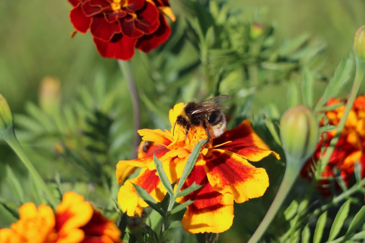    Фото: "Республика" / Сергей Медведев