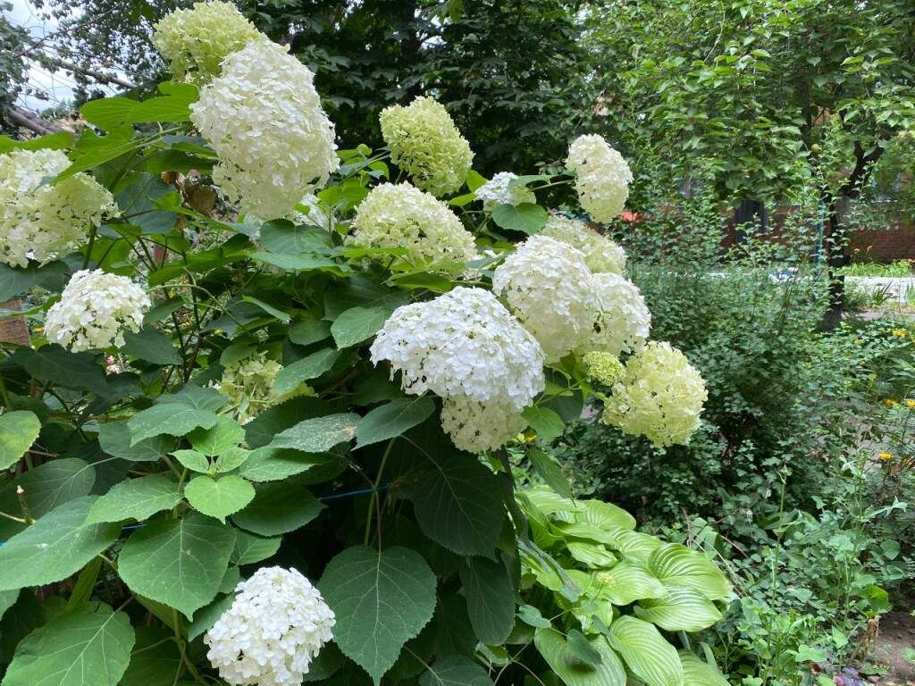   Фото: И. Куницкая. Галина Ященко