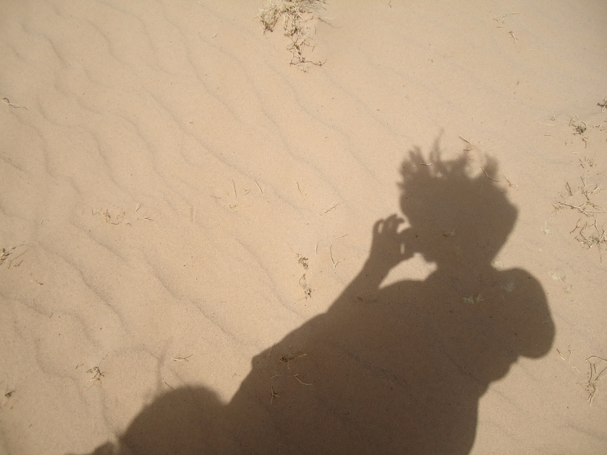 Тени в пустыне