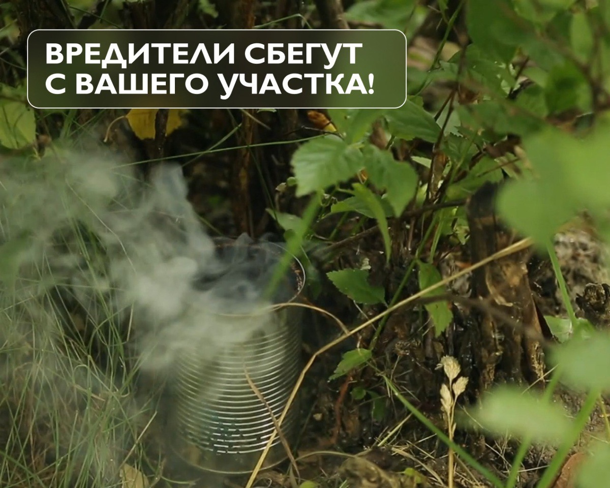 Фото: © программа «Ура Бобру!» / телеканал «Бобёр»
