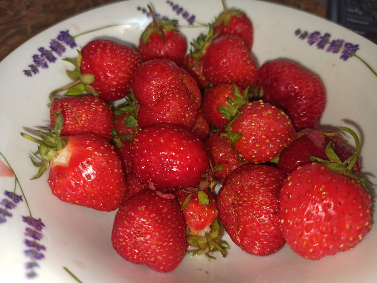 Фото автора. Люблю клубнику