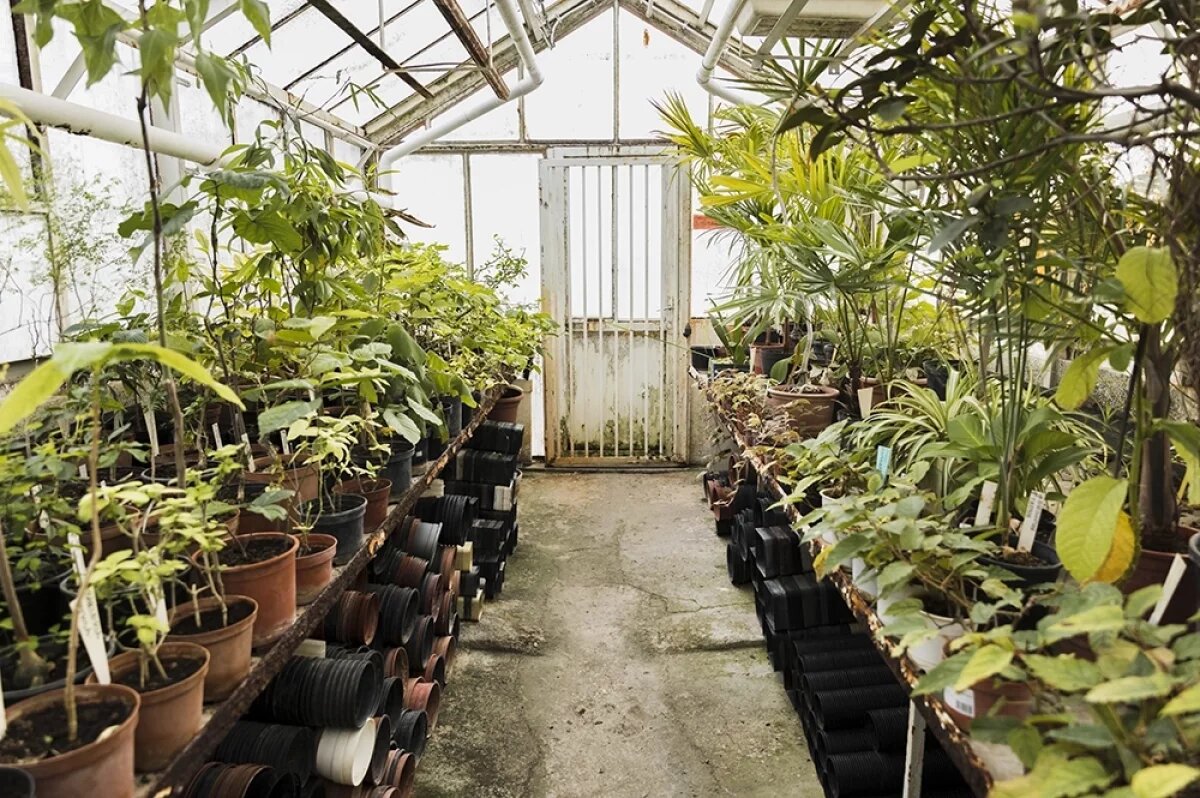    Чтоб не сгнили.