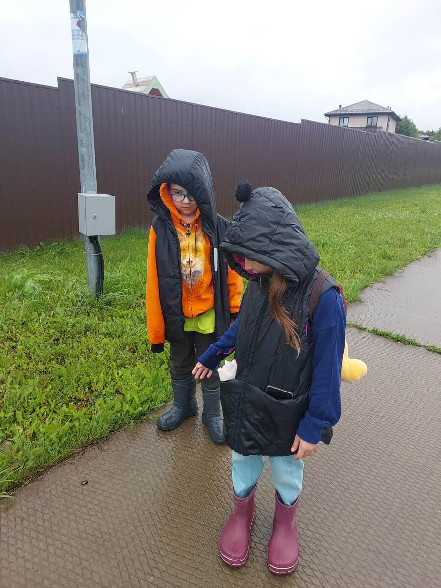 На выгуле в гостях