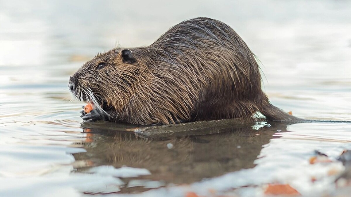     Источник: freepik.com