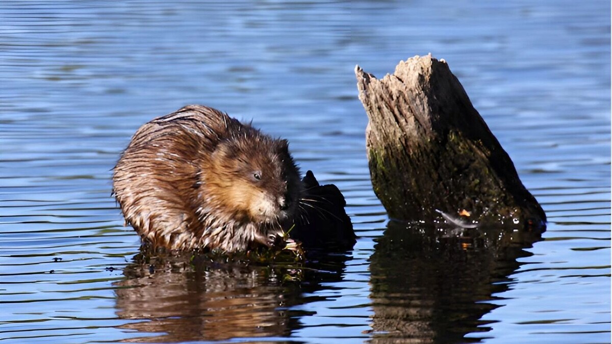     Источник: freepik.com