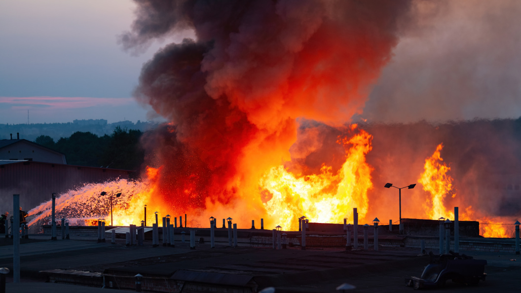    Фото: Vladimir Mulder/shutterstock