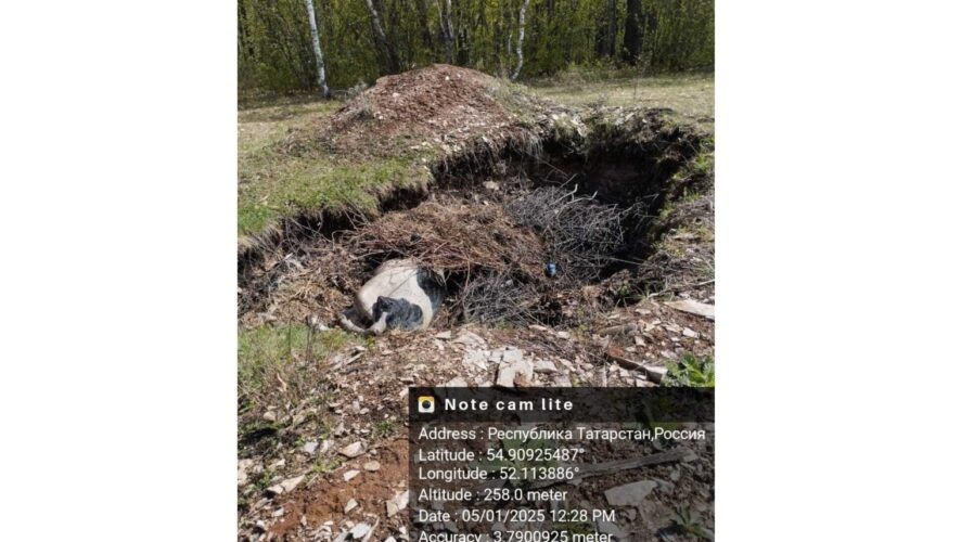    Фото: управление Россельхознадзора по РТ
