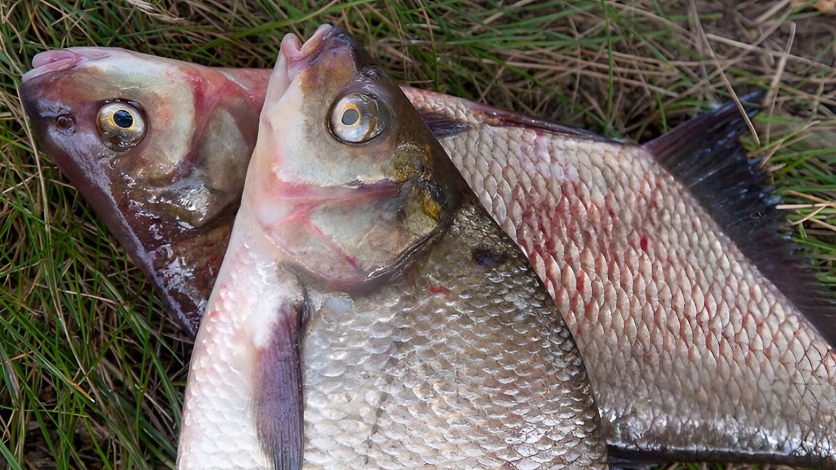     Источник: freepik.com