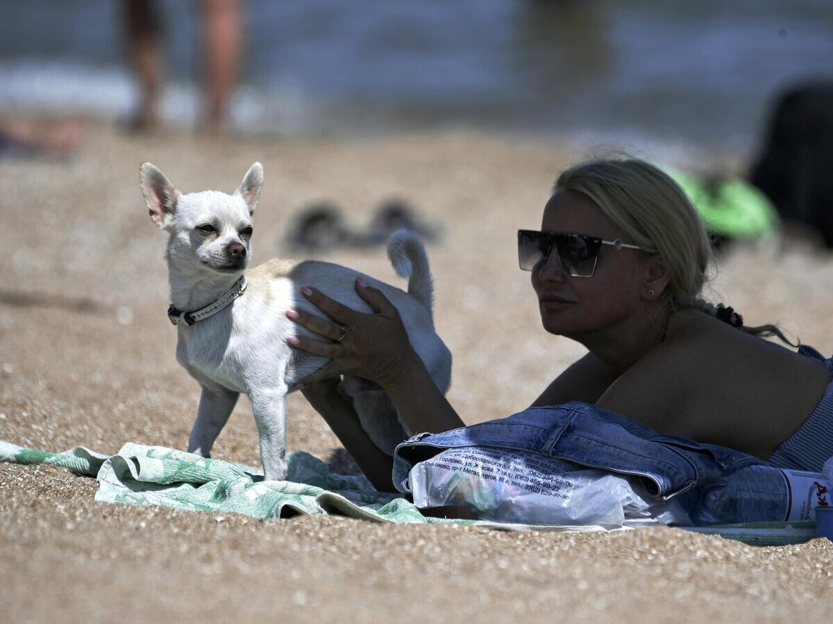    Горожане отдыхают на пляже© РИА Новости / Константин Михальчевский