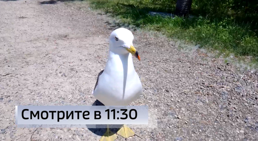    Источник фото: