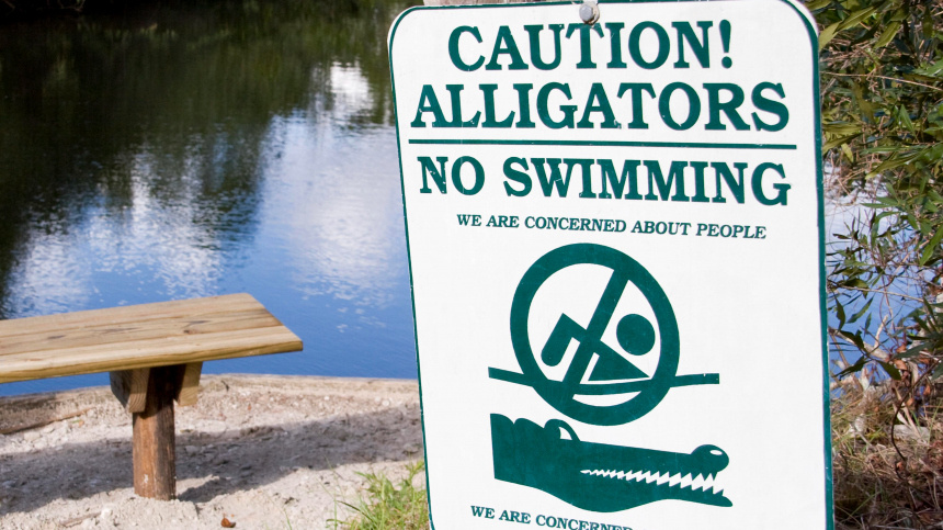    Фото: www.globallookpress.com/Clifton; 5-tv.ru