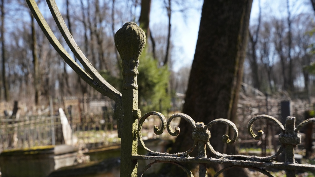 Светлана Мулыкина📷
