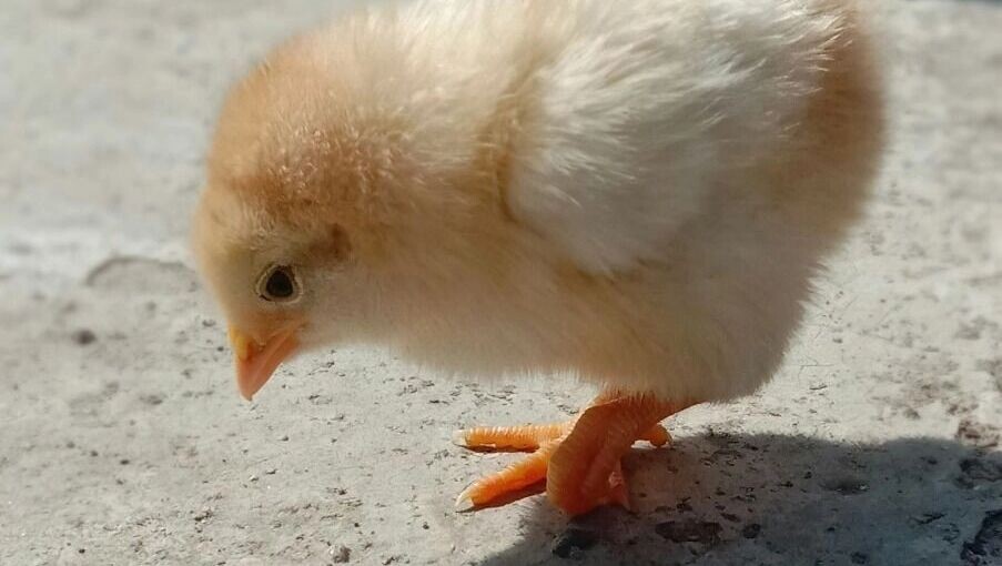     Источник: unsplash.com