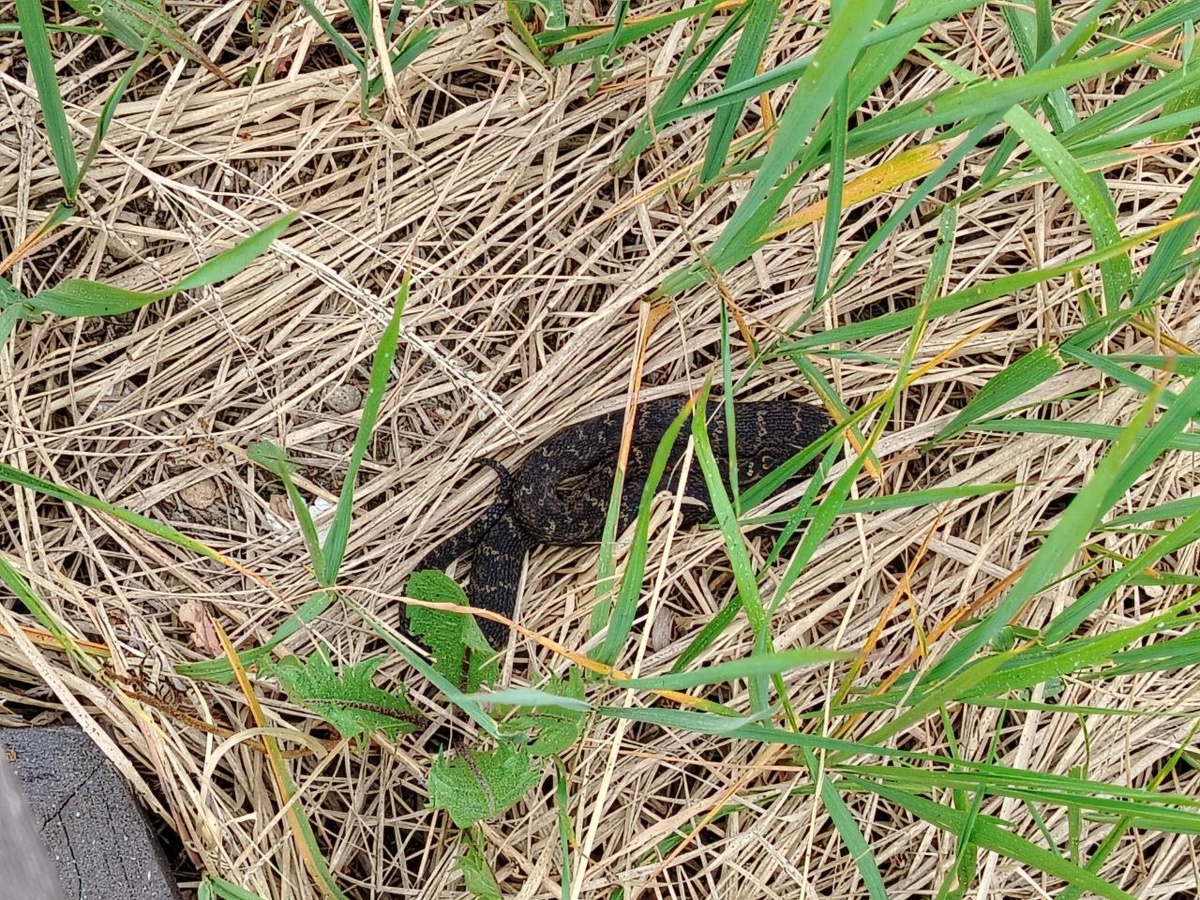 Листайте галерею, чтобы увидеть все фото 