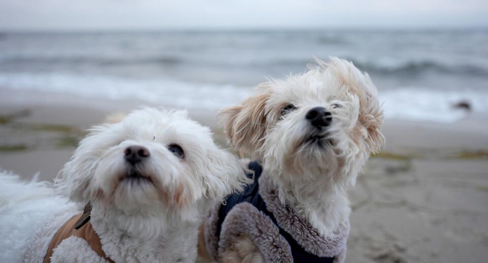    Marcus Brandt/dpa / www.globallookpress.com